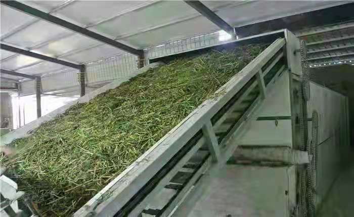 網(wǎng)帶烘干機(jī)